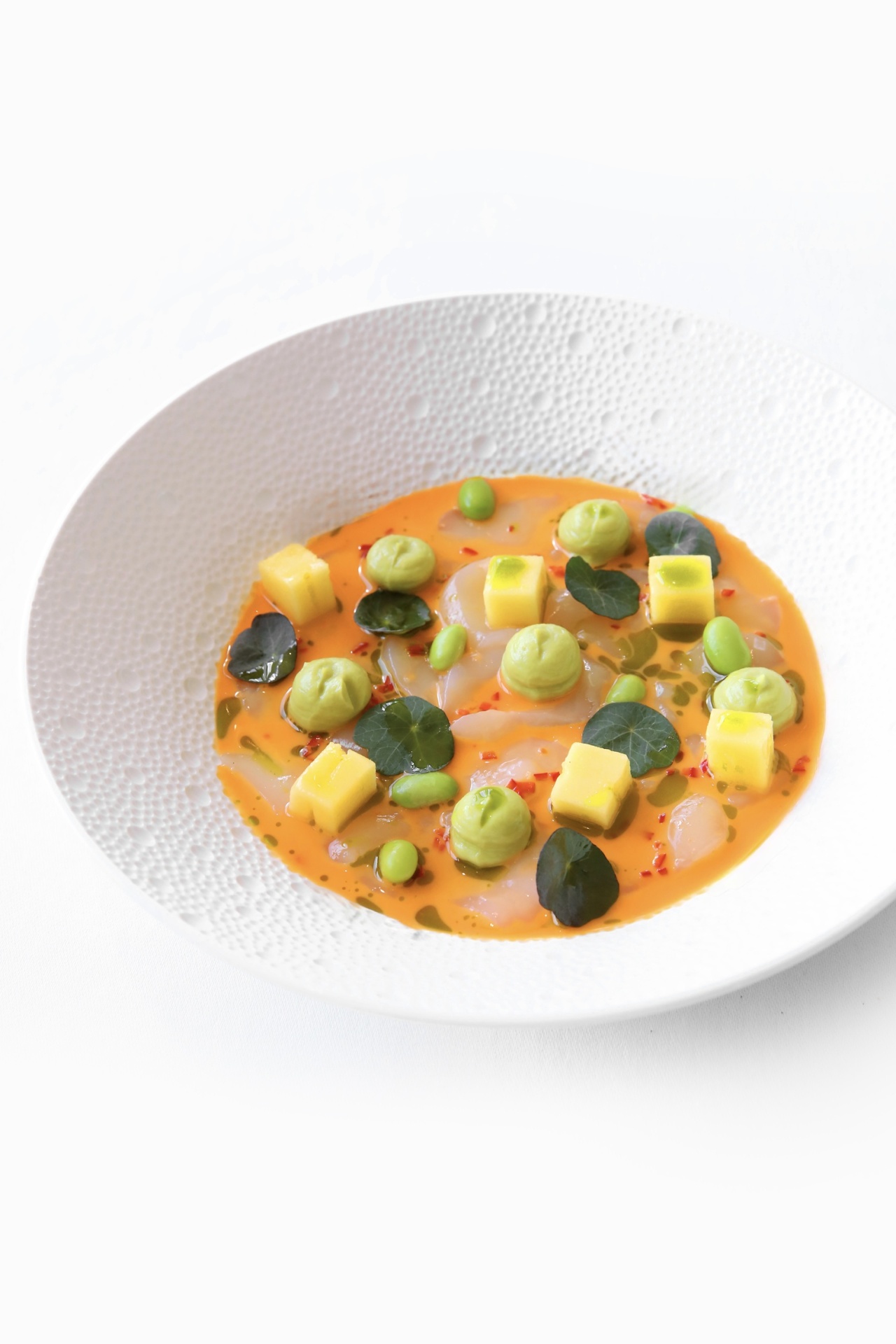 Индийский гость в Алматы