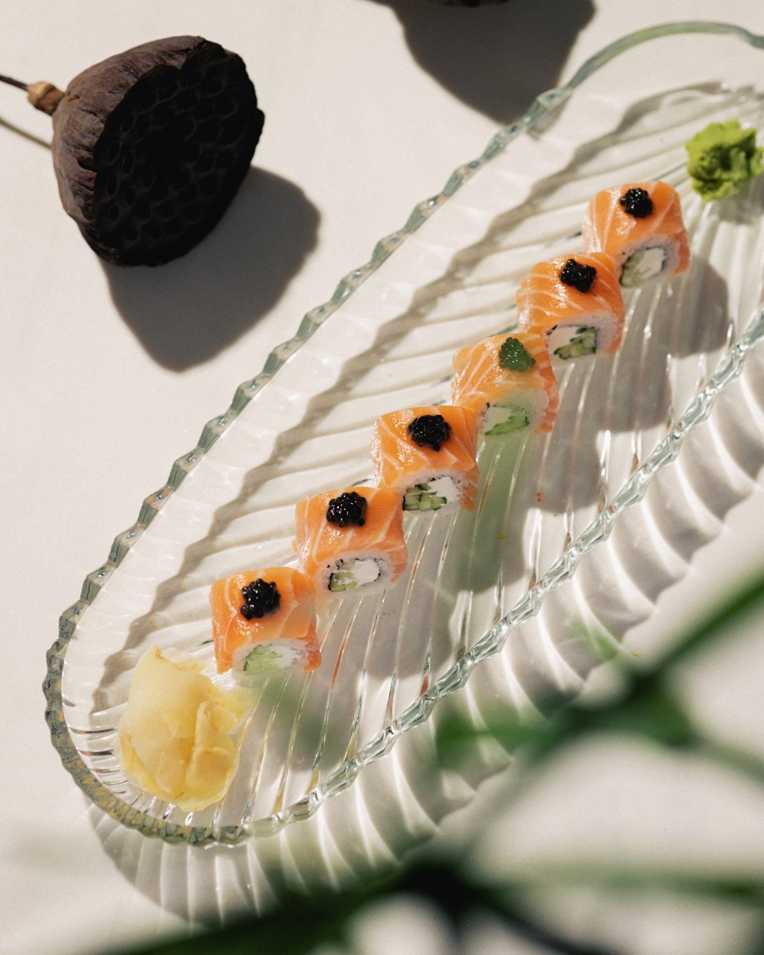 Рыба Пила (5).jpg