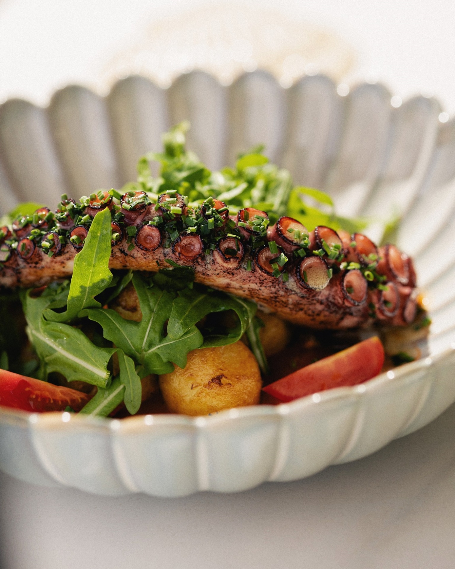 Рыба Пила (7).jpg