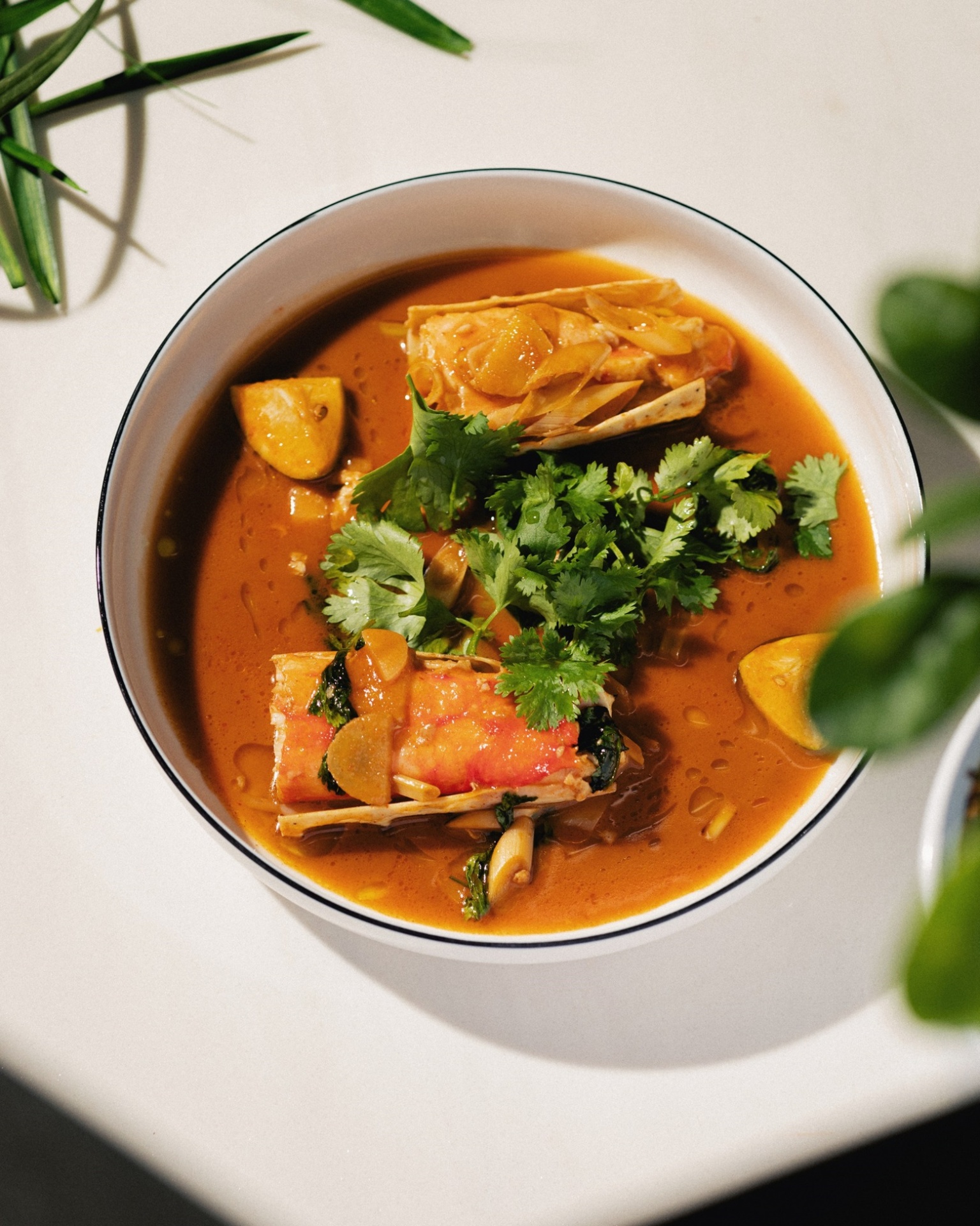 Рыба Пила (4).jpg