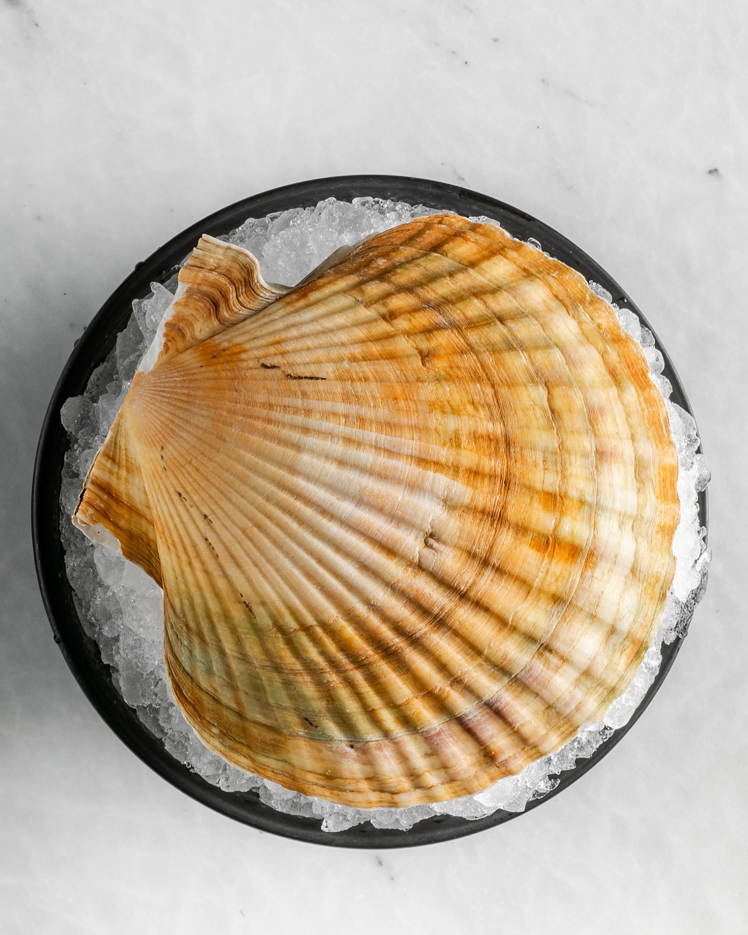 Selfie Astana (3).JPG