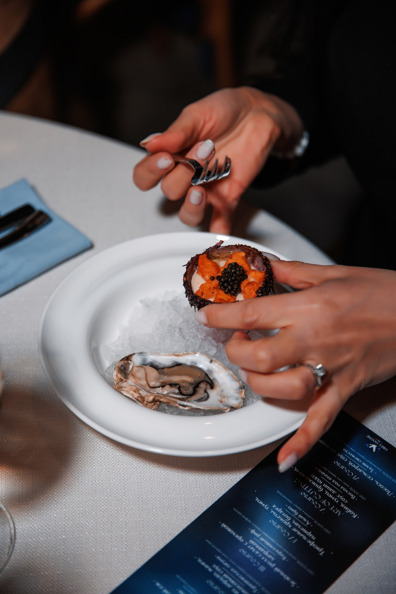 Рыба Пила-38.jpeg